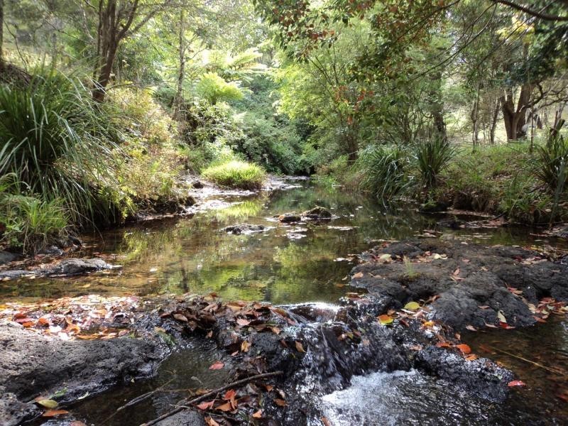 30 Kondalilla Falls Road, Montville QLD 4560