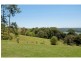 280 Western Avenue, Montville QLD 4560