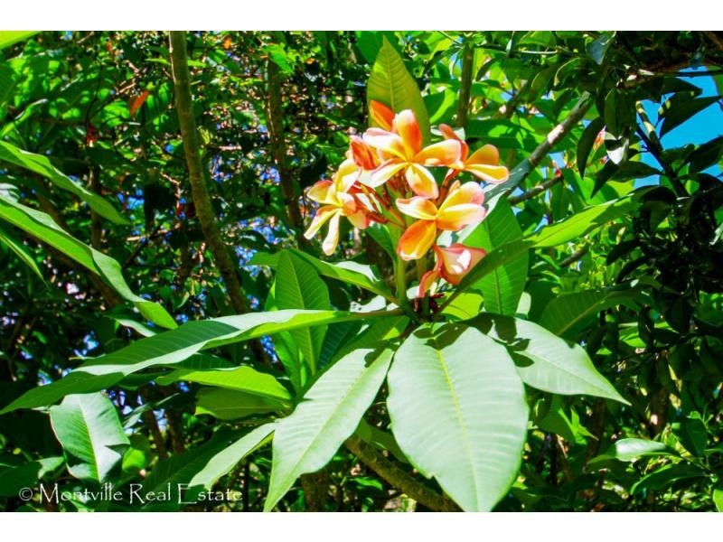 18 Old Mill Lane, Flaxton QLD 4560