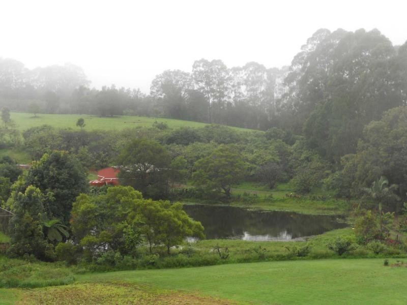 21 Akala Street, Flaxton QLD 4560