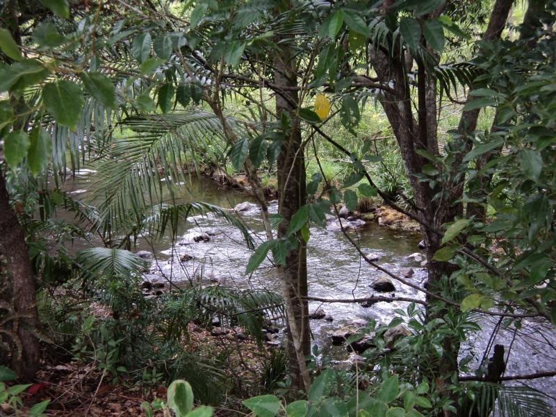 618 Obi Obi Road, Obi Obi QLD 4574