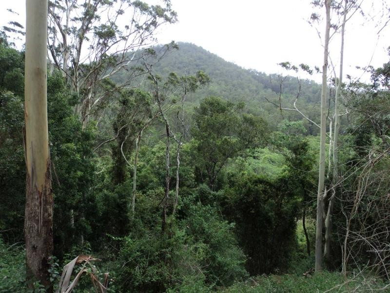 618 Obi Obi Road, Obi Obi QLD 4574