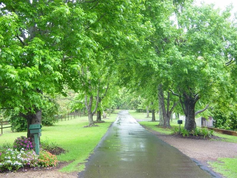 408 Western Avenue, Montville QLD 4560