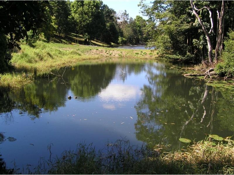 29-31 Carramar Court, Flaxton QLD 4560