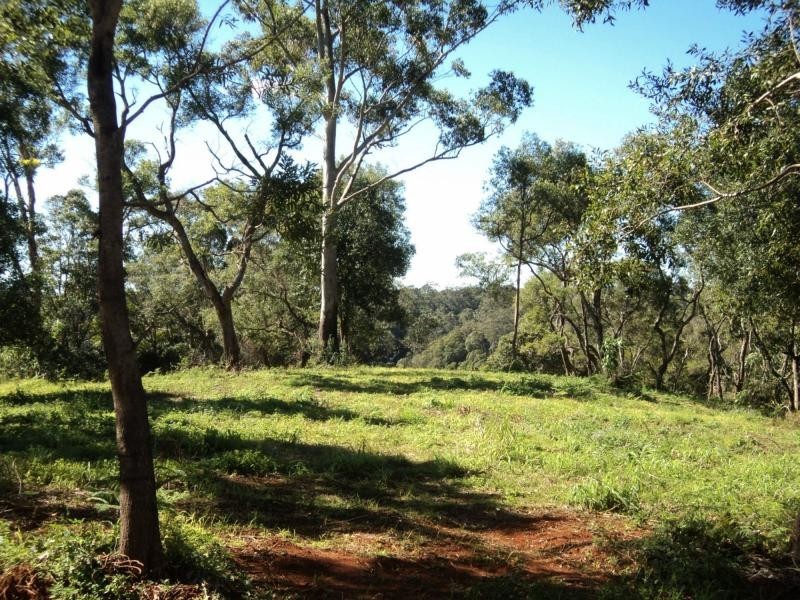 Montville QLD 4560