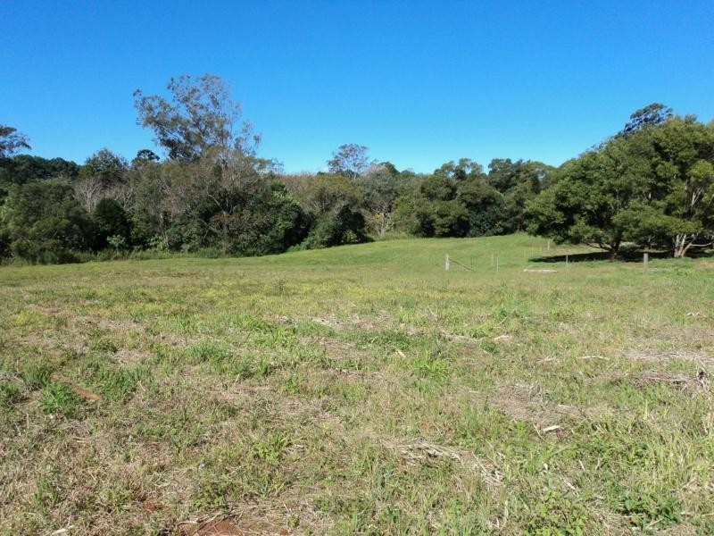 Montville QLD 4560