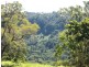 Montville QLD 4560