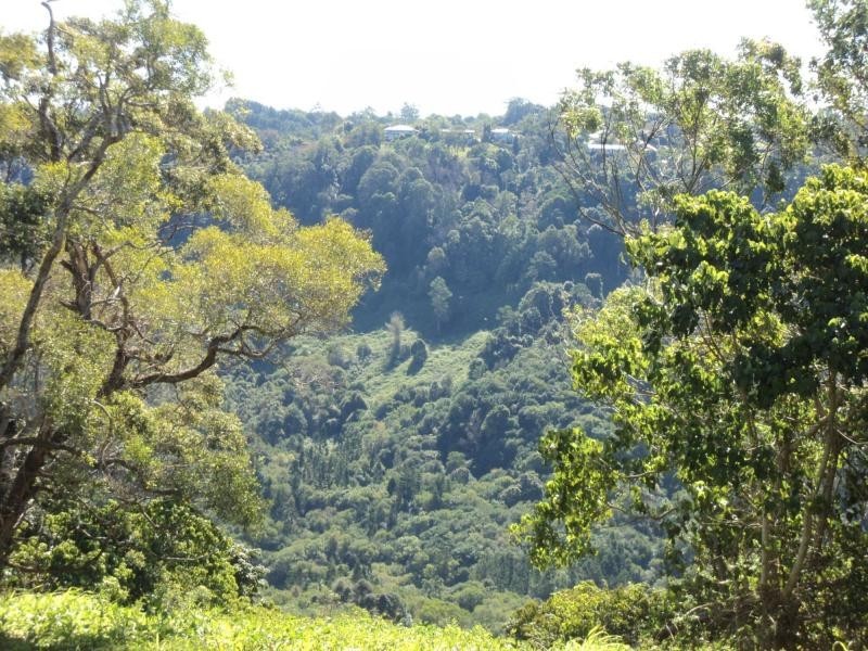 Montville QLD 4560