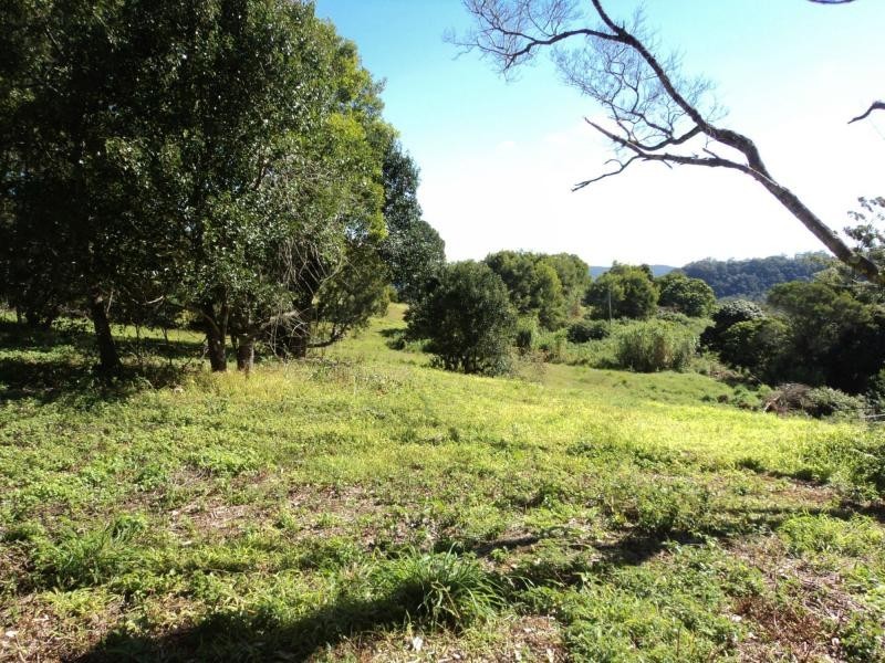 Montville QLD 4560