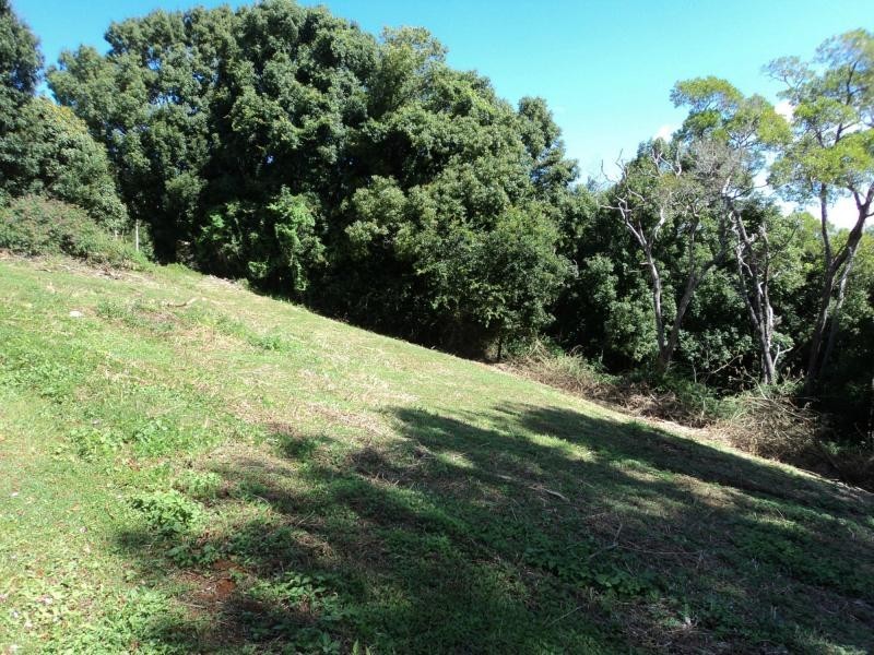 23 Kingsview Drive, Flaxton QLD 4560