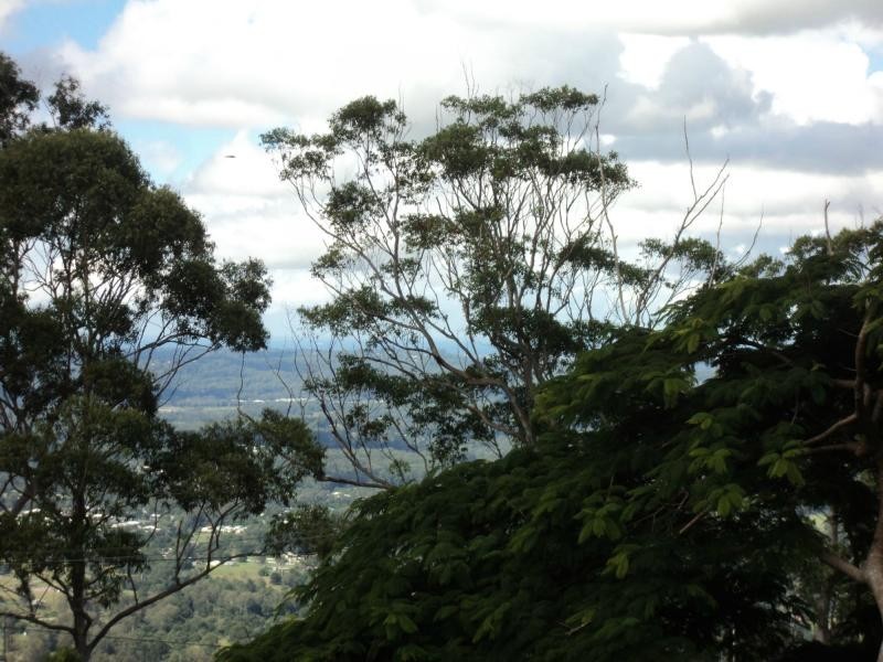 7 Boongala Avenue, Montville QLD 4560