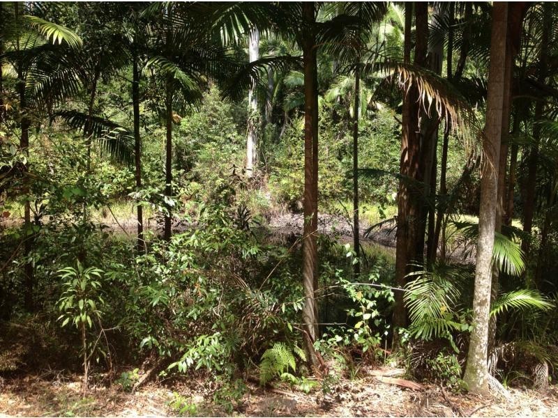 97 Obi Obi Road, Mapleton QLD 4560