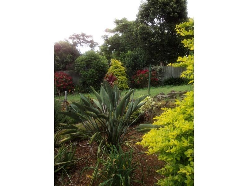 3 Frangipanni Court, Montville QLD 4560