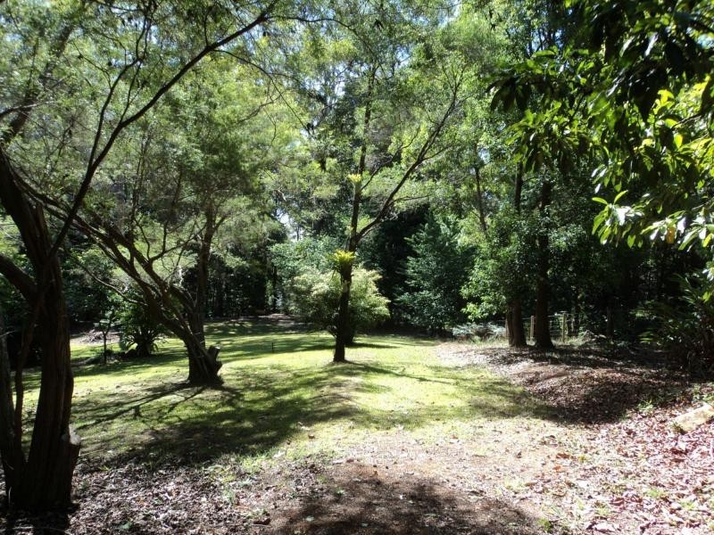 428 Western Avenue, Montville QLD 4560