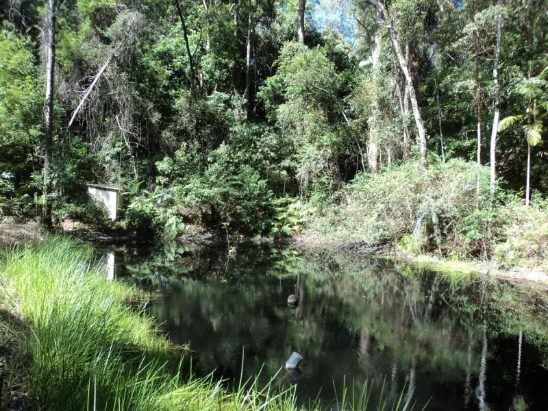 428 Western Avenue, Montville QLD 4560