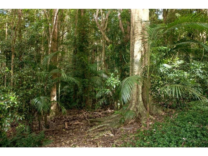 5 Glasshouse Parade, Maleny QLD 4552