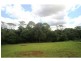 8 Cycad Place, Flaxton QLD 4560