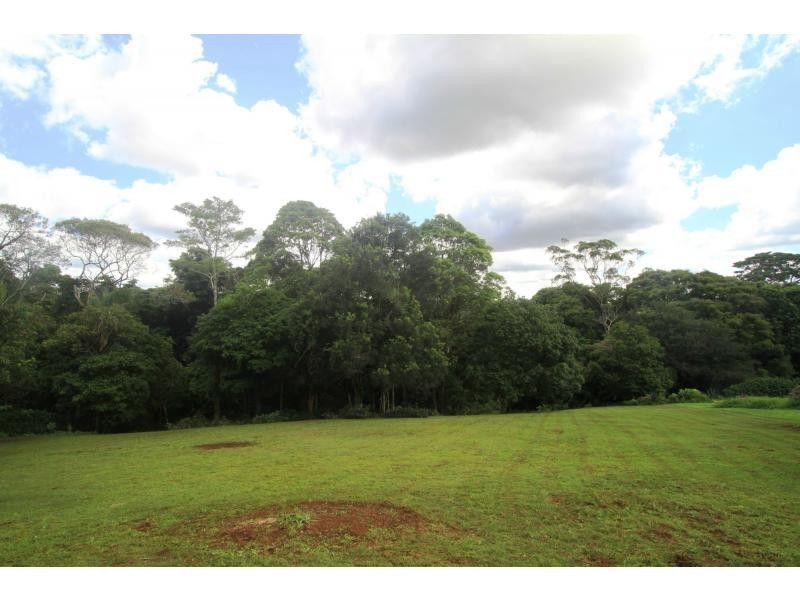 8 Cycad Place, Flaxton QLD 4560