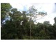 8 Cycad Place, Flaxton QLD 4560