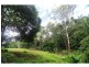 8 Cycad Place, Flaxton QLD 4560