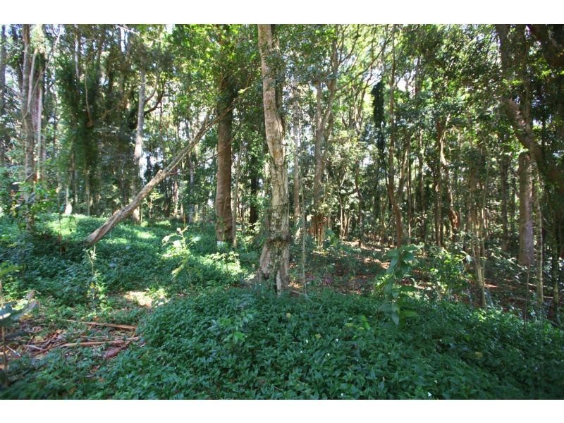 576 Mountain View Road, Maleny QLD 4552