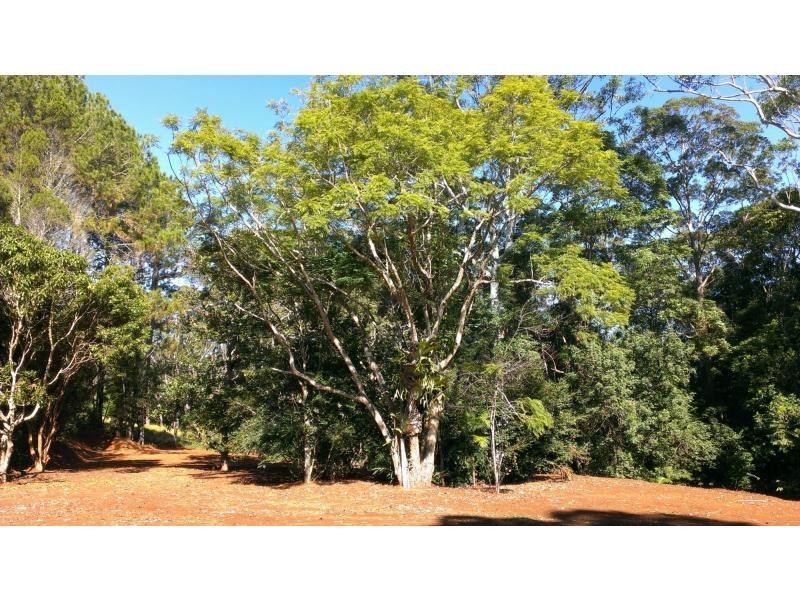 428 Western Avenue, Montville QLD 4560