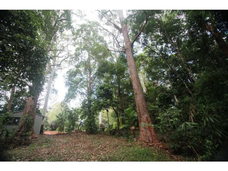 428 Western Avenue, Montville QLD 4560