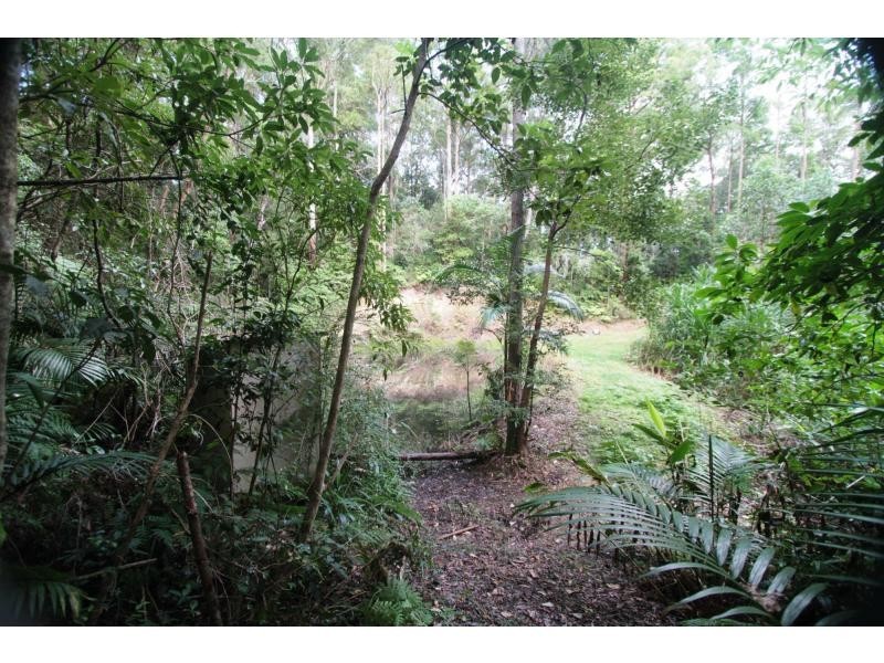 428 Western Avenue, Montville QLD 4560