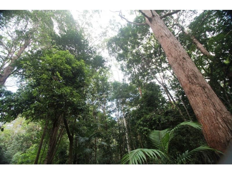 428 Western Avenue, Montville QLD 4560