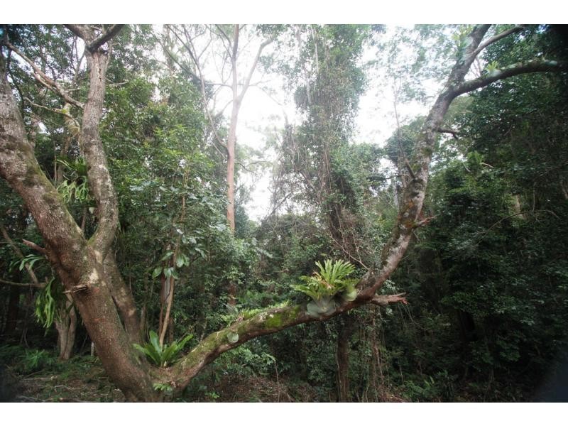 428 Western Avenue, Montville QLD 4560