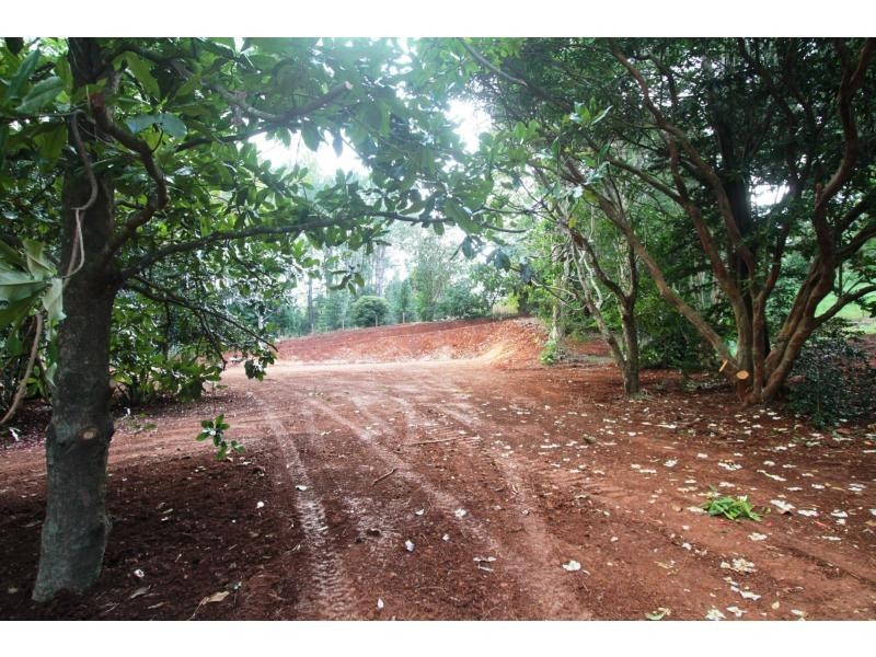 428 Western Avenue, Montville QLD 4560