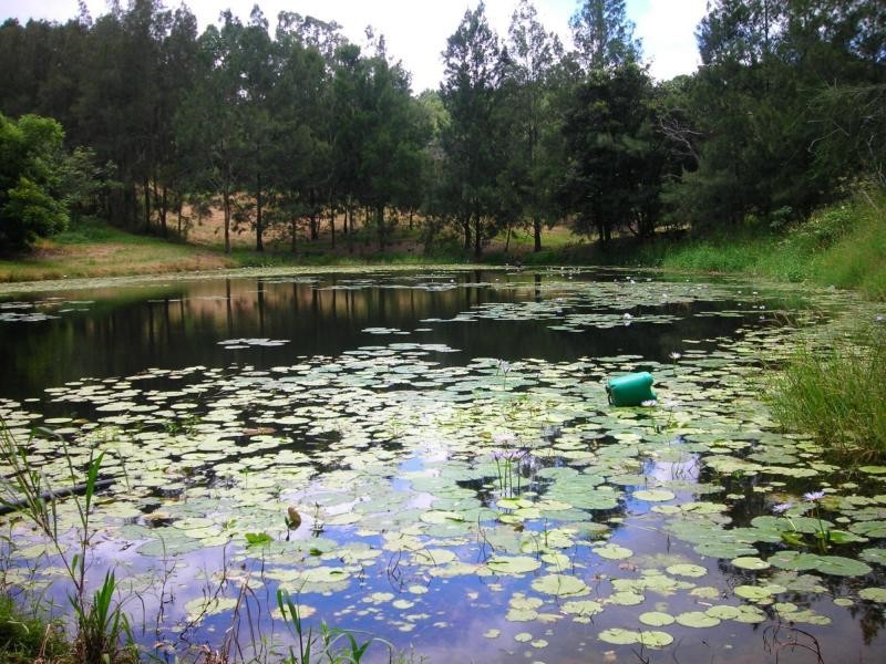 410 Flaxton Drive, Flaxton QLD 4560
