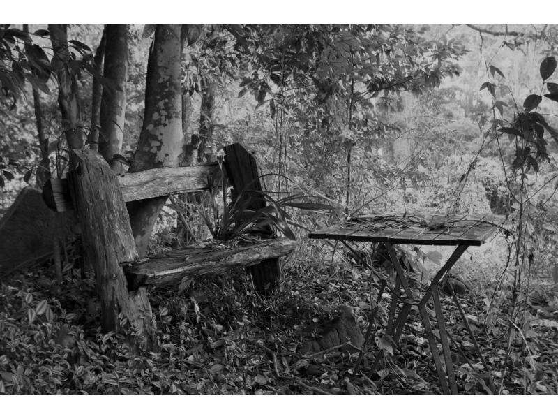 734 Palmwoods-Montville Road, Montville QLD 4560