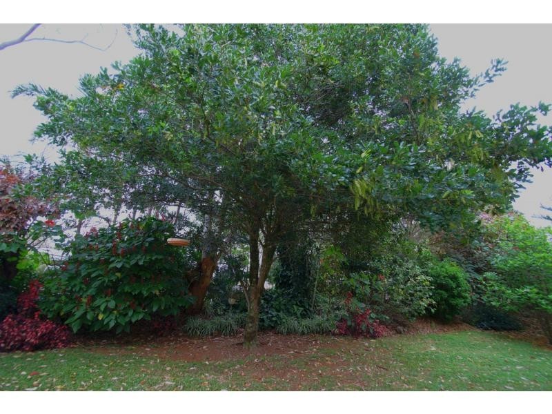 4 Tulipwood Court, Montville QLD 4560