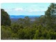 20 Kingsview Drive, Flaxton QLD 4560