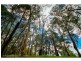 589 Nambour Mapleton Road, Kureelpa, Mapleton QLD 4560