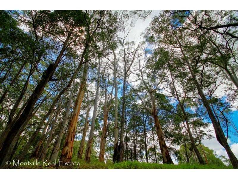 589 Nambour Mapleton Road, Kureelpa, Mapleton QLD 4560