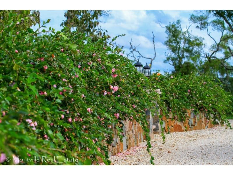 218 Western Avenue, Montville QLD 4560