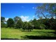 218 Western Avenue, Montville QLD 4560