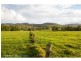 227 Cedar Creek Road, Belli Park QLD 4562