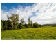 227 Cedar Creek Road, Belli Park QLD 4562