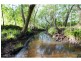 227 Cedar Creek Road, Belli Park QLD 4562