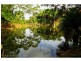 13 Brigadoon Court, Flaxton QLD 4560