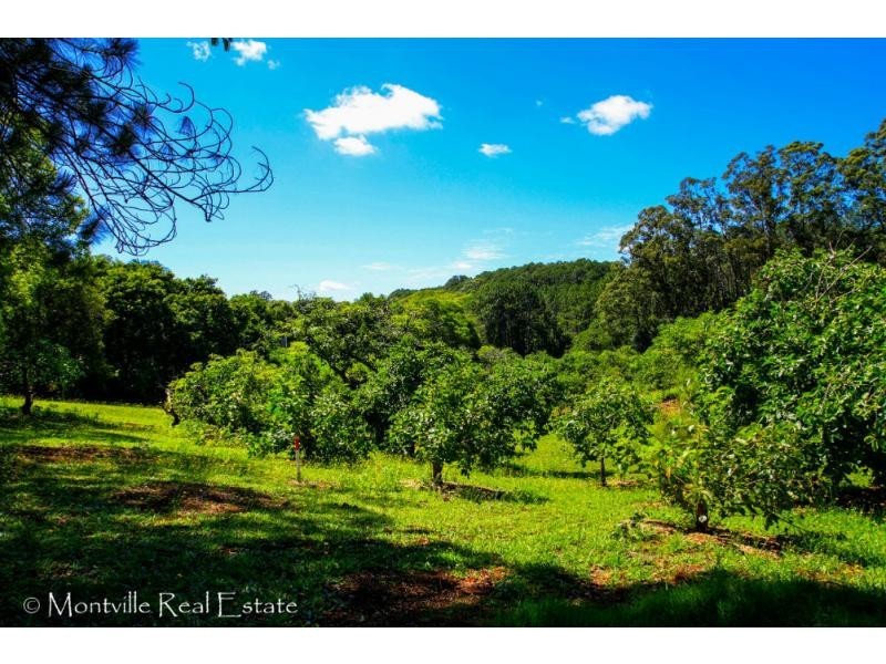 52 Main Street, Montville QLD 4560