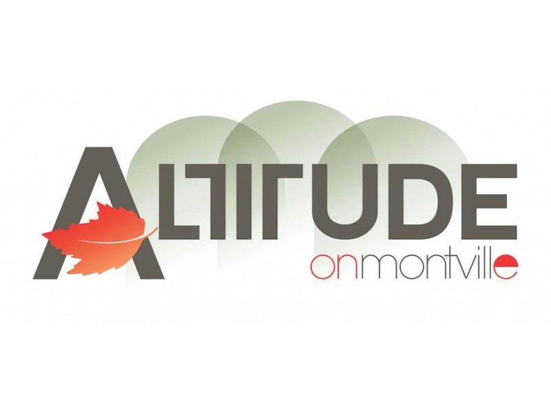 94-96 Main Street, Montville QLD 4560