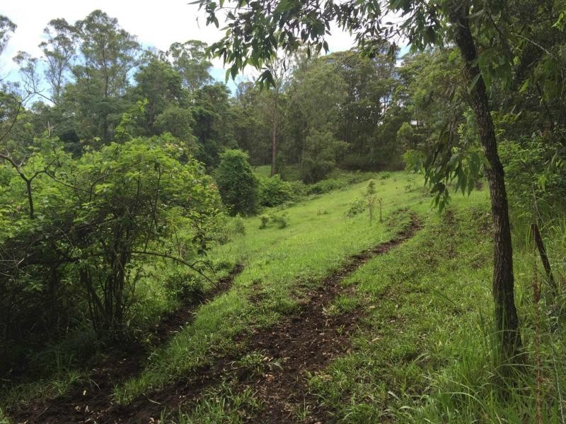 295 Schultz Road, Witta, Maleny QLD 4552