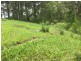 295 Schultz Road, Witta, Maleny QLD 4552