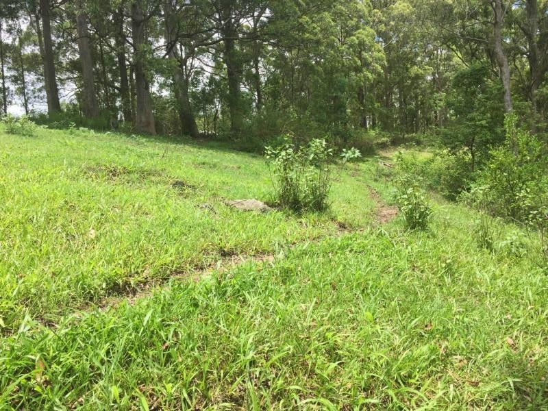 295 Schultz Road, Witta, Maleny QLD 4552