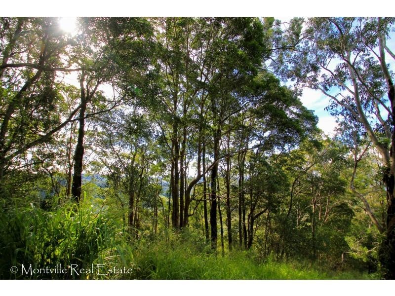 800 Palmwoods-Montville Road, Montville QLD 4560