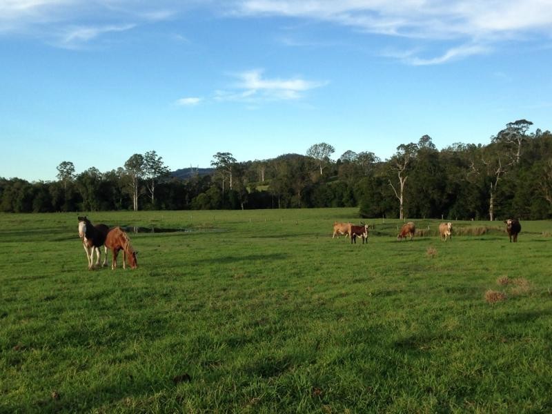 227 Cedar Creek Road, Belli Park QLD 4562